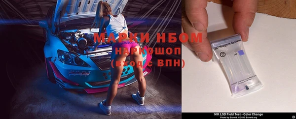 дживик Баксан