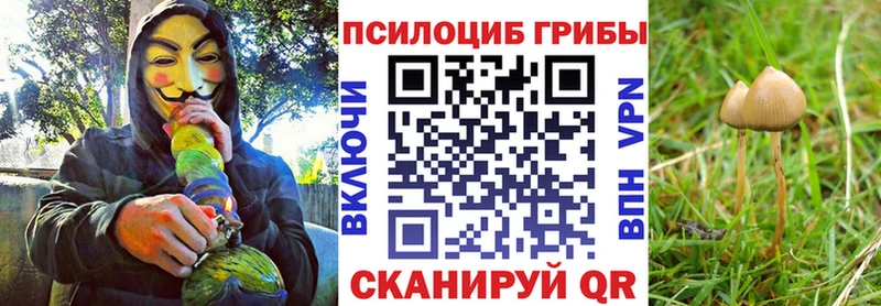 Галлюциногенные грибы GOLDEN TEACHER  Лахденпохья 